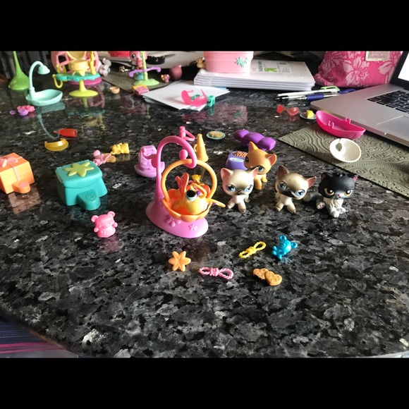 Littlest Pet Shops! - Picture 11 of 16